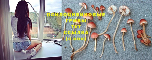 МДМА Абаза