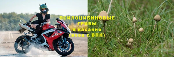 бошки Абдулино
