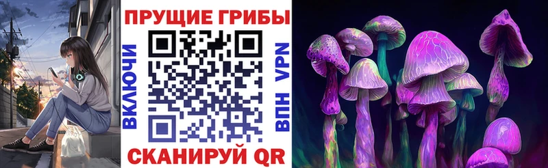 хочу наркоту  Дятьково  Псилоцибиновые грибы мухоморы 